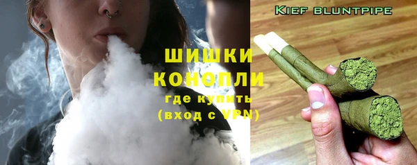 крисы Новозыбков