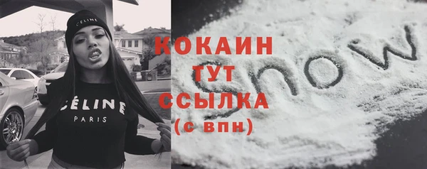 мдпв Новодвинск