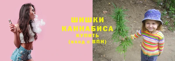 крисы Новозыбков