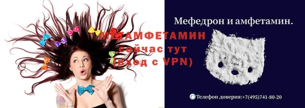 крисы Новозыбков