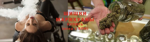 крисы Новозыбков