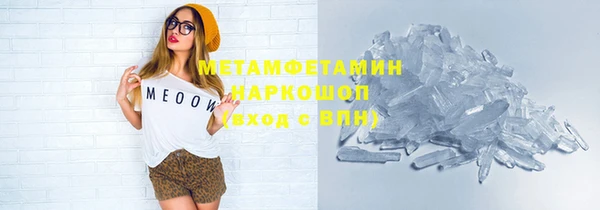 крисы Новозыбков