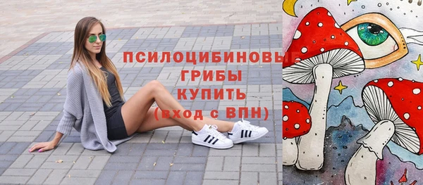 крисы Новозыбков
