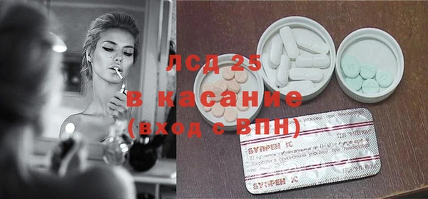 крисы Новозыбков