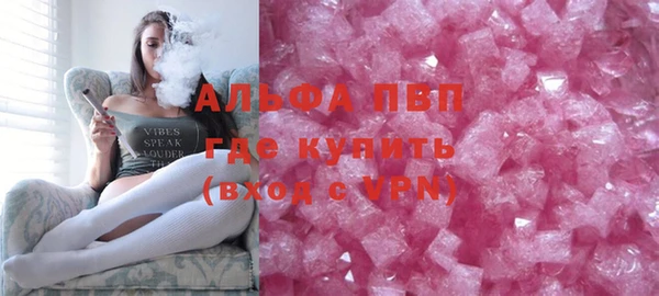 крисы Новозыбков