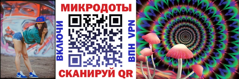 Псилоцибиновые грибы Psilocybe  Купить закладки  Задонск 